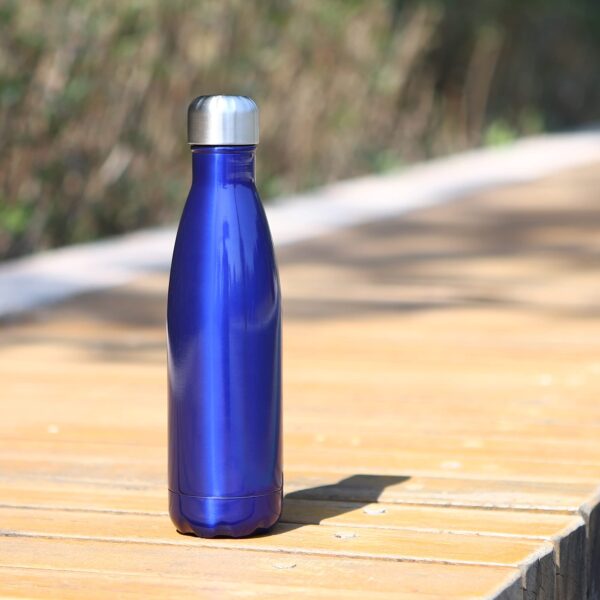 SS Vacuum Bottle